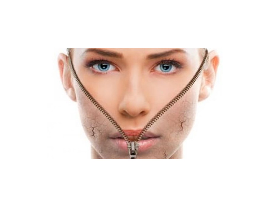 Regeneracion y elasticidad del rostro